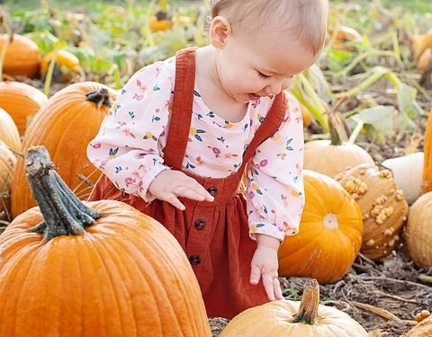 Mastering the Potty: Expert Tips for Success in Potty Training