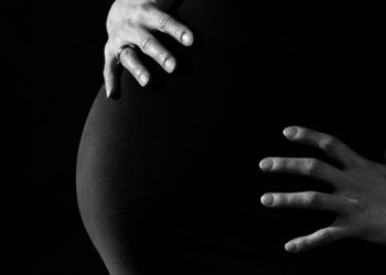 Miracle in the Womb: Exploring the Intricate World of Fetal Development