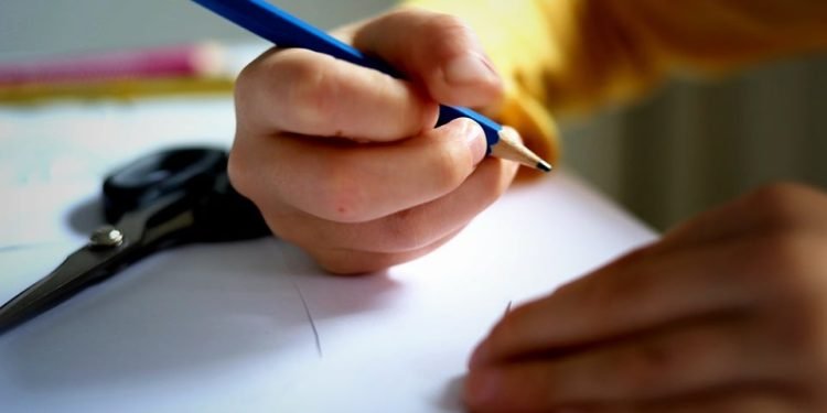 Unlocking the Future: Engaging Educational Toys for Toddler Development