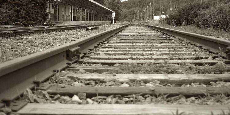 Unlocking the Power of Speech: The Journey of Speech Milestones