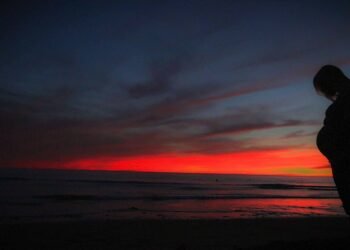 The C-Section Chronicles: Navigating the Journey to Motherhood