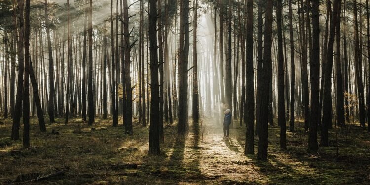 Empowering Parents: Essential Self-Care Tips for Balancing Family and Well-being