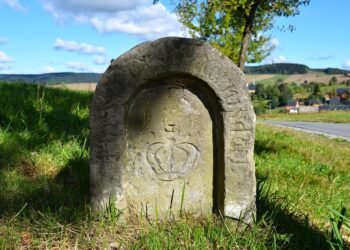 Empowering Toddlers: Nurturing Independence from a Young Age