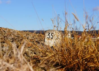 The Science of Sweet Dreams: Understanding and Improving Toddler Sleep Patterns