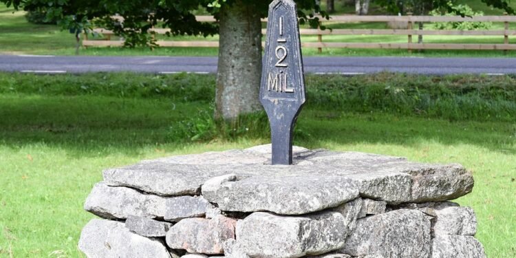 Nurturing Little Minds: Unlocking the Wonders of Toddler Development