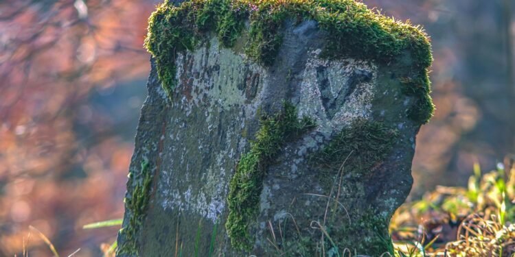 Engaging Toddler Activities: Sparking Curiosity and Development through Play