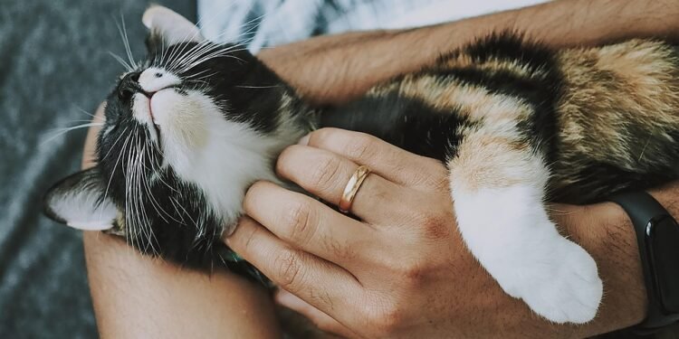 The Ultimate Guide to Mastering Breastfeeding Positions for Maximum Comfort and Bonding