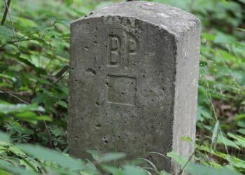 Mastering the Art of Connection: A Guide to Social Skills Development