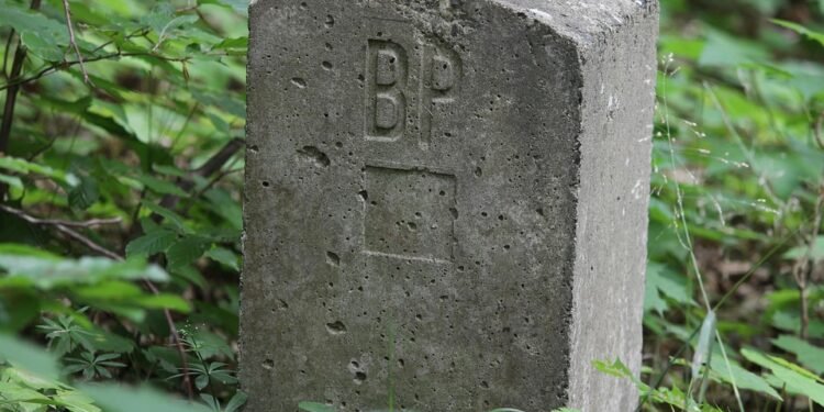 Mastering the Art of Connection: A Guide to Social Skills Development