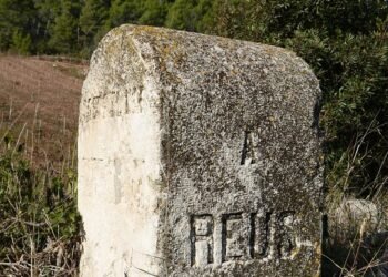 Mastering Movement: Unleashing the Power of Gross Motor Skills