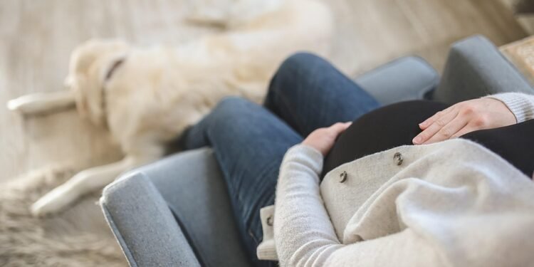 Nourishing Two: A Guide to a Healthy Pregnancy Diet