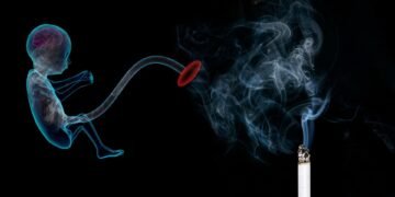 Fit for Two: The Ultimate Guide to Safe and Effective Pregnancy Workouts