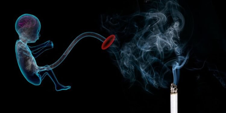 Fit for Two: The Ultimate Guide to Safe and Effective Pregnancy Workouts