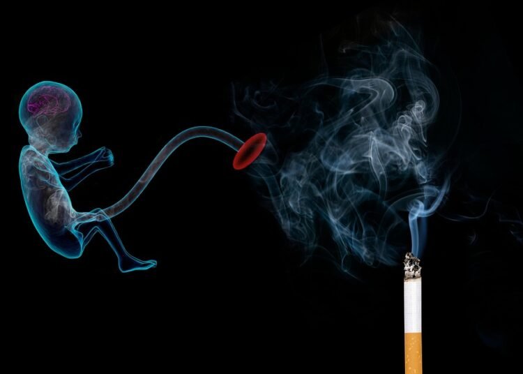 Fit for Two: The Ultimate Guide to Safe and Effective Pregnancy Workouts