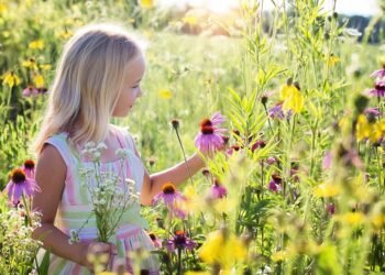 Nurturing Little Hearts: Cultivating Emotional Resilience in Children