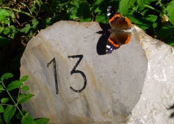 Unlocking the Key to Your Toddler&rsquo;s Development: A Comprehensive Milestones Chart