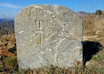 Fun and Engaging Toddler Learning Activities to Spark Curiosity and Creativity