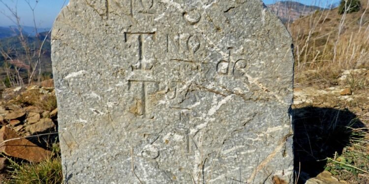 Fun and Engaging Toddler Learning Activities to Spark Curiosity and Creativity