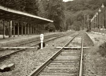 Feeding the Future: Nourishing Your Toddler for Optimal Growth and Development