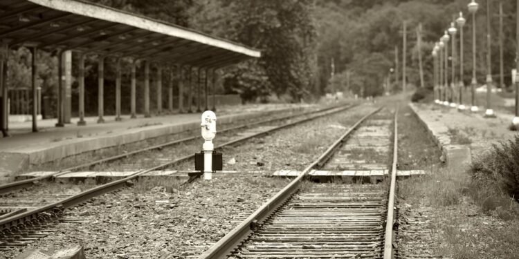 Feeding the Future: Nourishing Your Toddler for Optimal Growth and Development