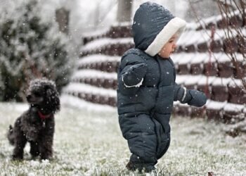 Nurturing Little Minds: Unlocking the Secrets of Toddler Development