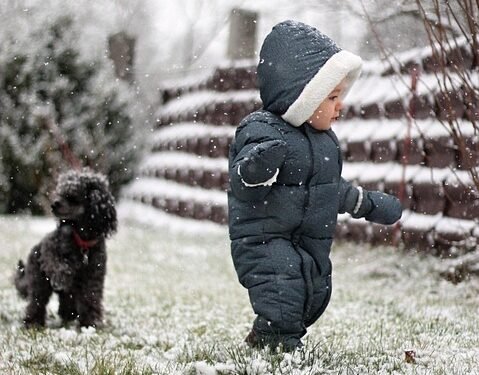 Nurturing Little Minds: Unlocking the Secrets of Toddler Development