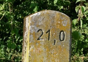 Tiny Tots: Engaging and Educational Activities for Busy Toddlers