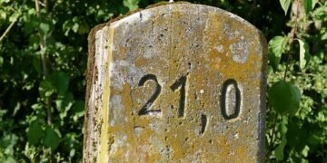 Tiny Tots: Engaging and Educational Activities for Busy Toddlers