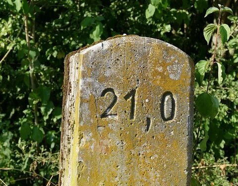 Tiny Tots: Engaging and Educational Activities for Busy Toddlers