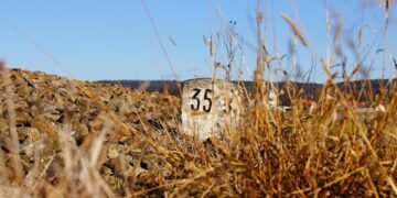 Protecting Precious Little Ones: Essential Toddler Safety Tips