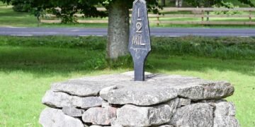 The Science of Sweet Dreams: Unlocking the Secrets of Toddler Sleep Patterns