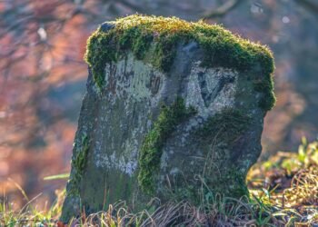 Mastering the Throne: A Parent&rsquo;s Guide to Successful Toilet Training