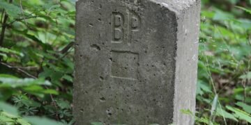 Unlocking Your Child’s Potential: The Ultimate Toddler Milestones Chart