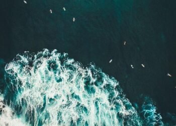 Optimize Your Wellbeing: The Power of Mind-Body Harmony