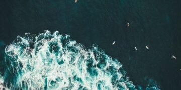 Optimize Your Wellbeing: The Power of Mind-Body Harmony