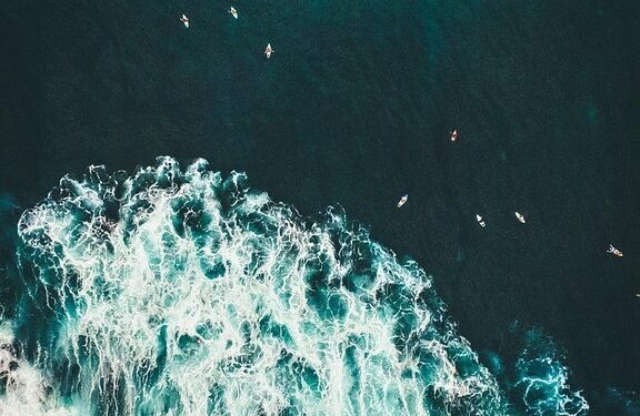 Optimize Your Wellbeing: The Power of Mind-Body Harmony