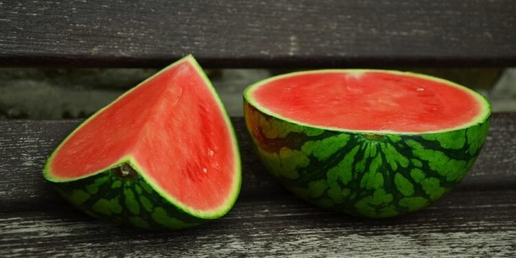 Power Up Your Muscles with these Top Protein Rich Foods: A Complete Guide for Muscle Building Success