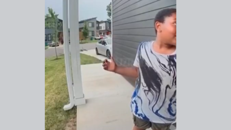 Internet Divided After Woman Refuses To Feed Hungry Neighbor Kid at Backyard BBQ